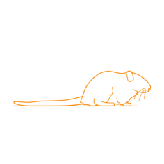 Animals Rodents Mongolian Gerbil Sketch Style Svg Vector, Free Vectors File